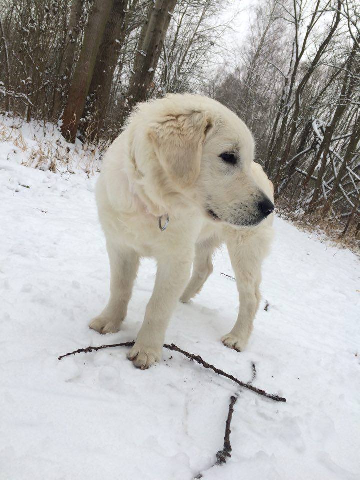 Annii Bella na sněhu 3