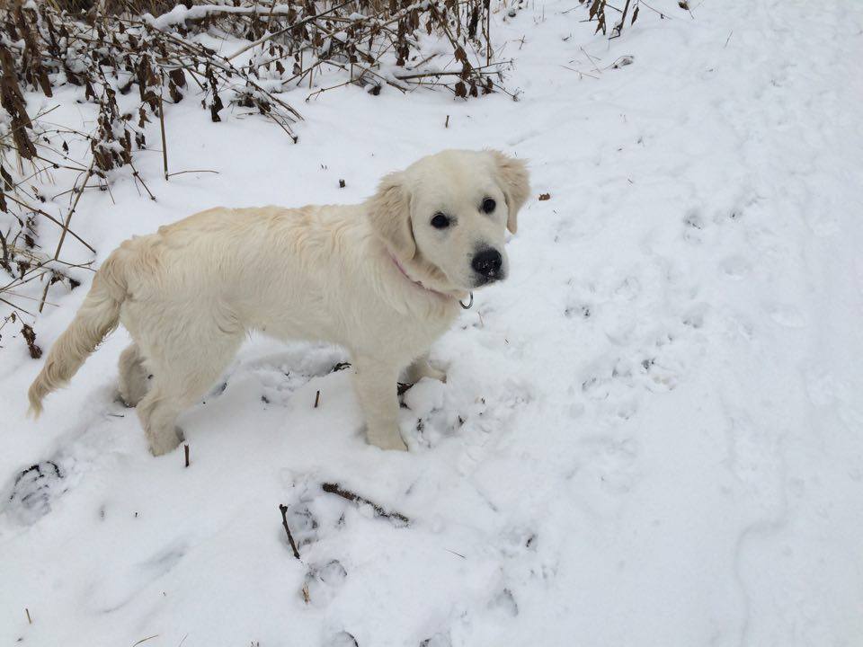 Annii Bella na sněhu